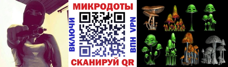 Купить  Дмитриев  Галлюциногенные грибы GOLDEN TEACHER 