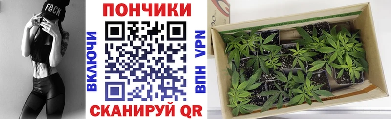 МАРИХУАНА планчик Дмитриев